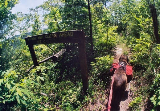 Big South Fork country